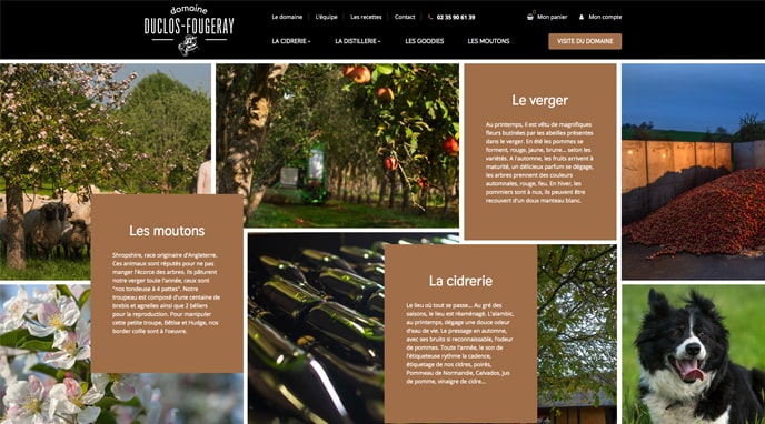 Domaine Duclos Fougeray